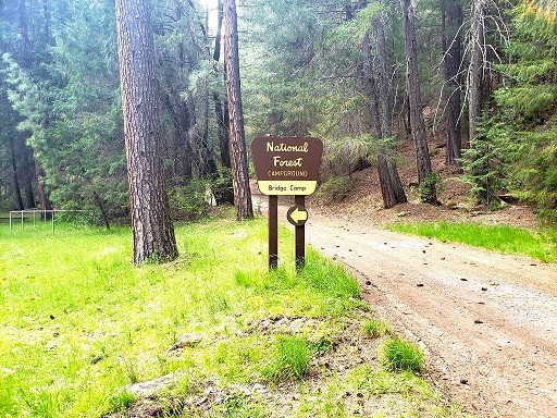 Review of Bridge Camp Campground in the Shasta-Trinity National Forest