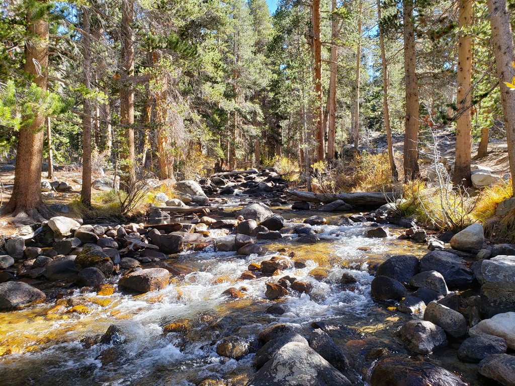 East Fork Campground Campgrounds 360