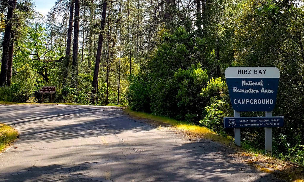 Review of Hirz Bay Campground in the Shasta-Trinity National Forest