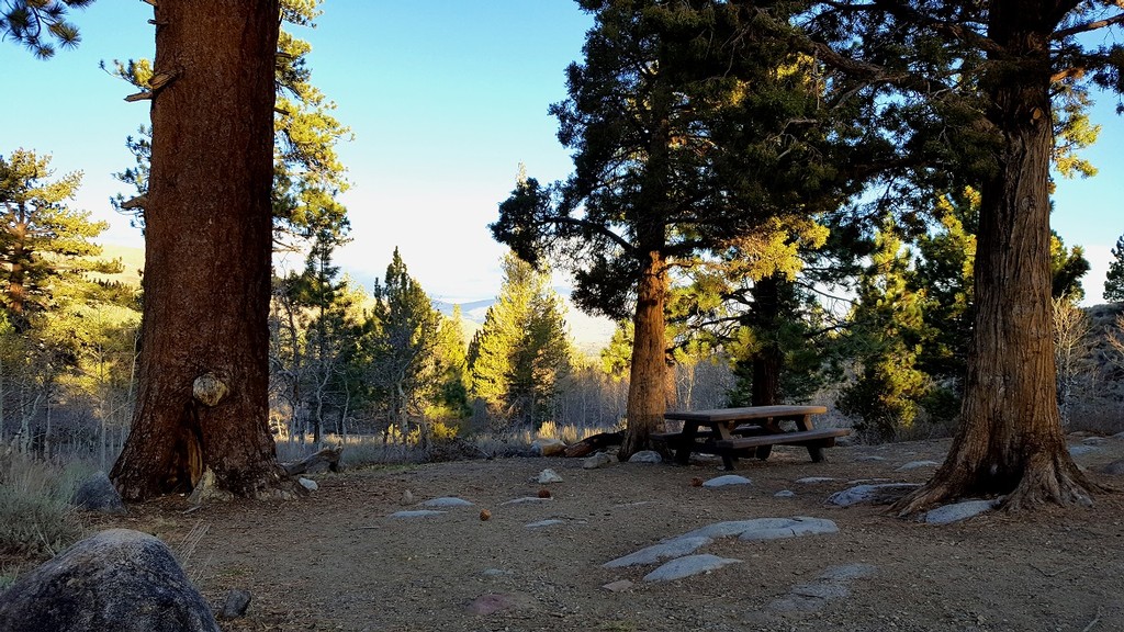 Obsidian Campground: Quiet Eastern Sierra Camping Packed with Adventure