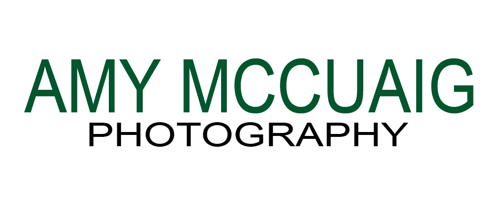Amy McCuaig Photography